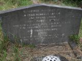 image of grave number 82594